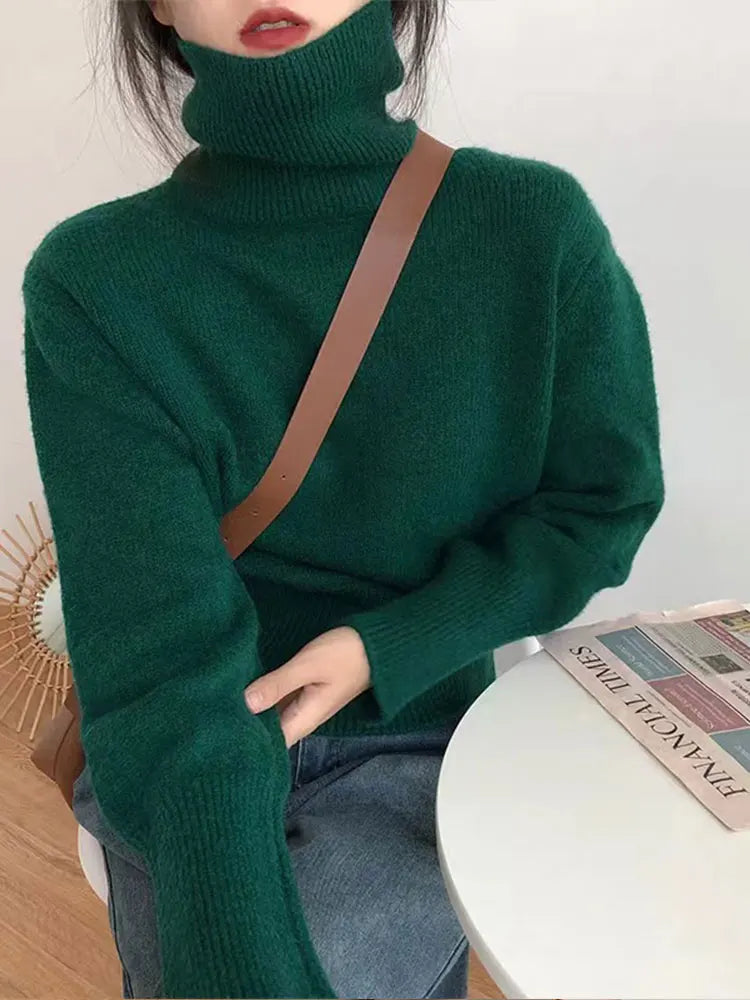 Pullover Style Turtleneck Sweater