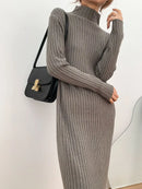 Long Sleeved Ribbed Knitted Turtleneck Sweater Dress