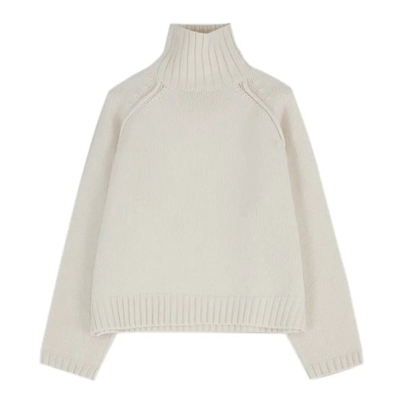 Turtleneck 100% Cashmere Sweater