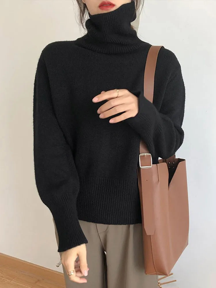 Pullover Style Turtleneck Sweater